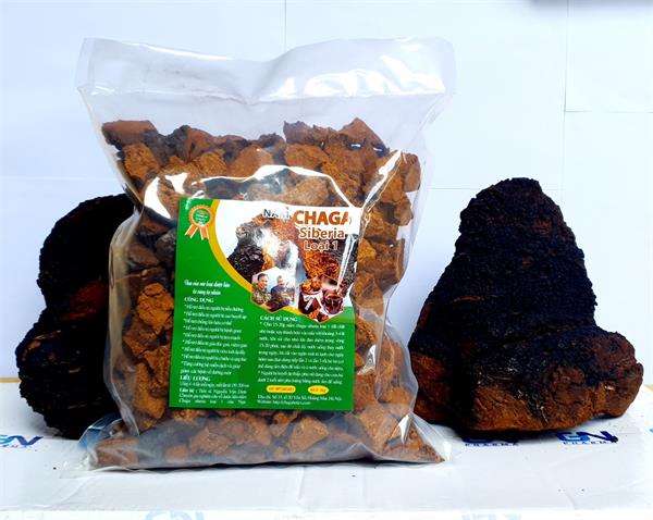 Nấm Chaga loại đóng túi 1000g