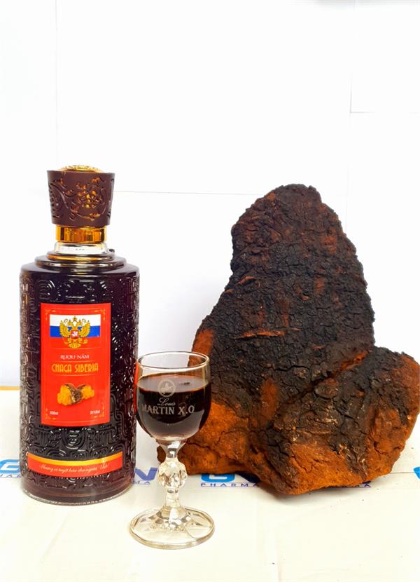 Rượu Ngâm Nấm Chaga