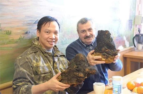 Nghiên cứu khoa học