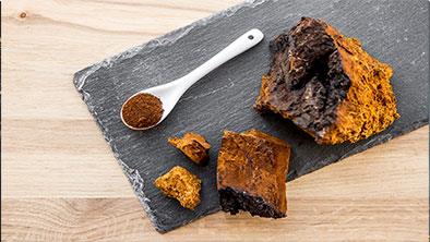 Dùng Nấm Chaga có bị béo lên không?